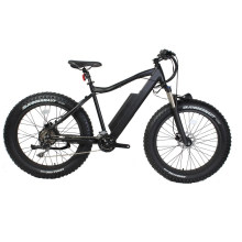 Fat Bike MID Drive Electric 750W 1000W Bafang 8fun BBS HD Bicicleta de montaña de suspensión ultra completa para adultos